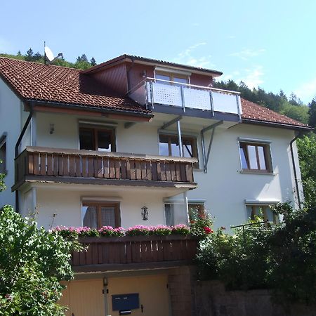 Haus Michler Διαμέρισμα Todtnau Εξωτερικό φωτογραφία