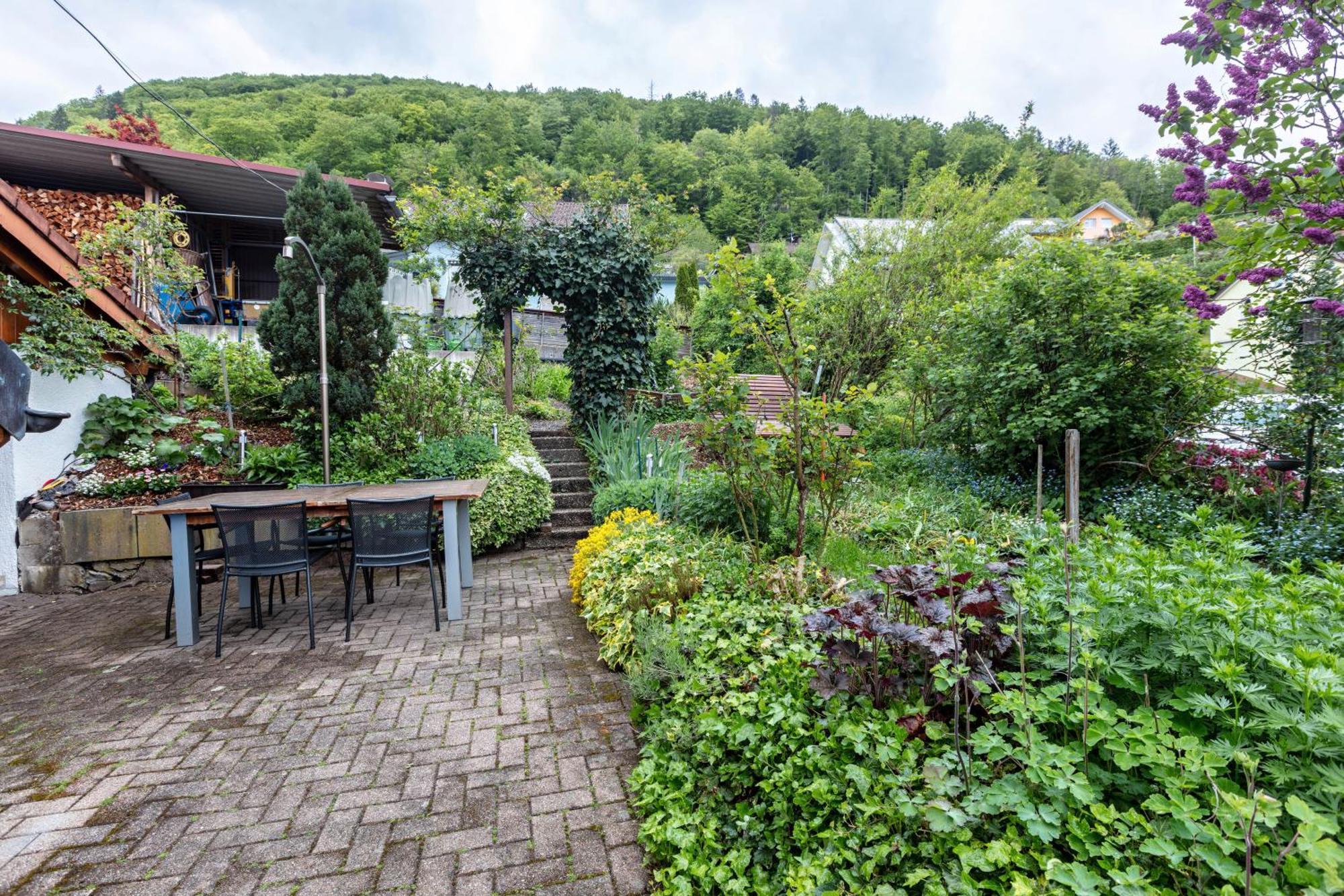 Haus Michler Διαμέρισμα Todtnau Εξωτερικό φωτογραφία